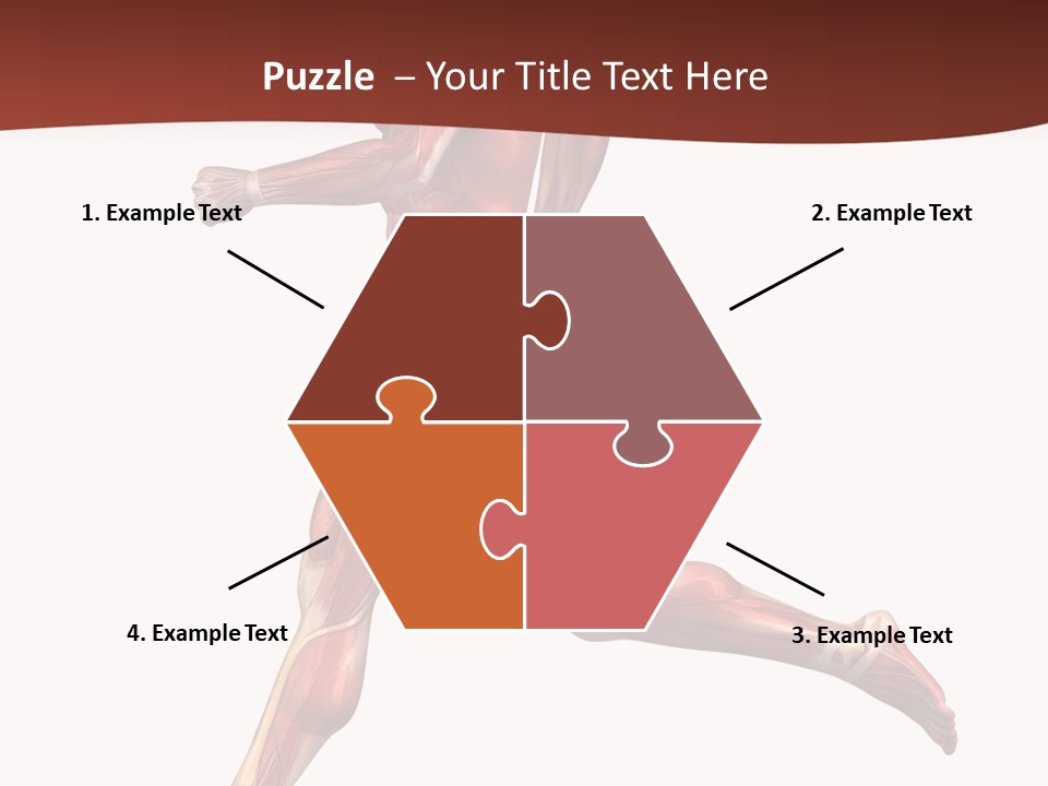 Extensor Carpi Radialis Brevis Calcaneal Achilles Tendon External Oblique PowerPoint Template