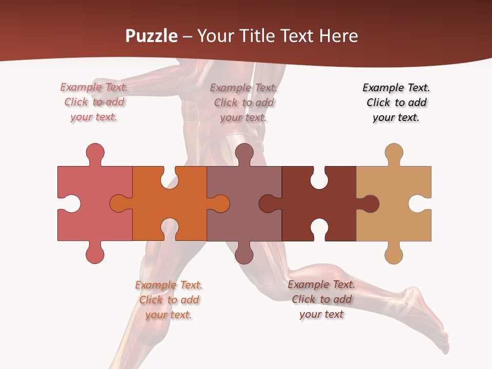 Extensor Carpi Radialis Brevis Calcaneal Achilles Tendon External Oblique PowerPoint Template