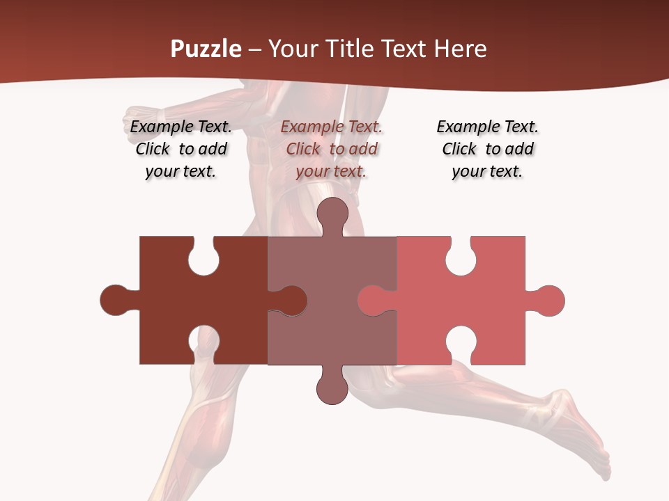 Extensor Carpi Radialis Brevis Calcaneal Achilles Tendon External Oblique PowerPoint Template