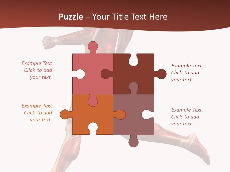 Extensor Carpi Radialis Brevis Calcaneal Achilles Tendon External Oblique PowerPoint Template