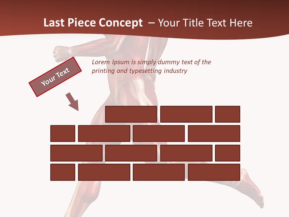 Extensor Carpi Radialis Brevis Calcaneal Achilles Tendon External Oblique PowerPoint Template