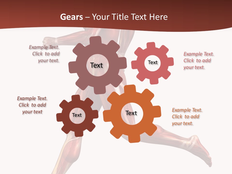 Extensor Carpi Radialis Brevis Calcaneal Achilles Tendon External Oblique PowerPoint Template