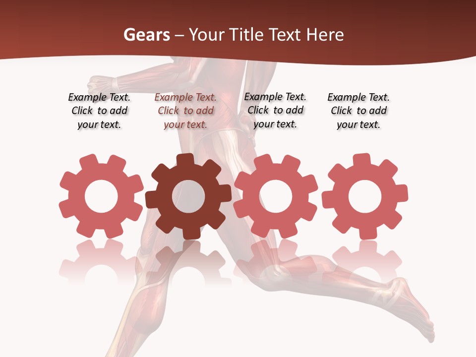 Extensor Carpi Radialis Brevis Calcaneal Achilles Tendon External Oblique PowerPoint Template