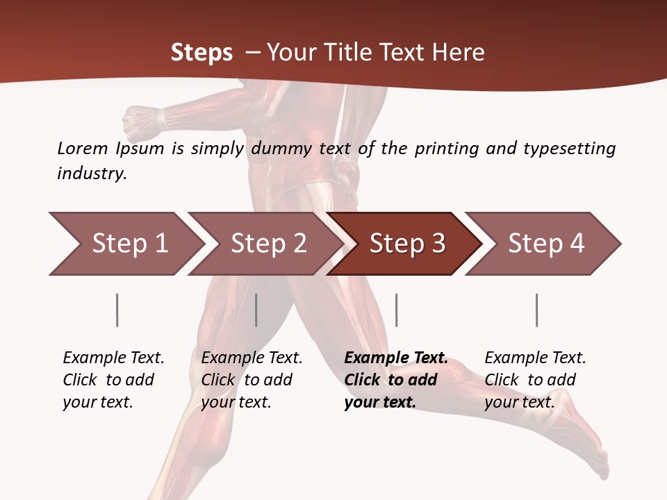 Extensor Carpi Radialis Brevis Calcaneal Achilles Tendon External Oblique PowerPoint Template