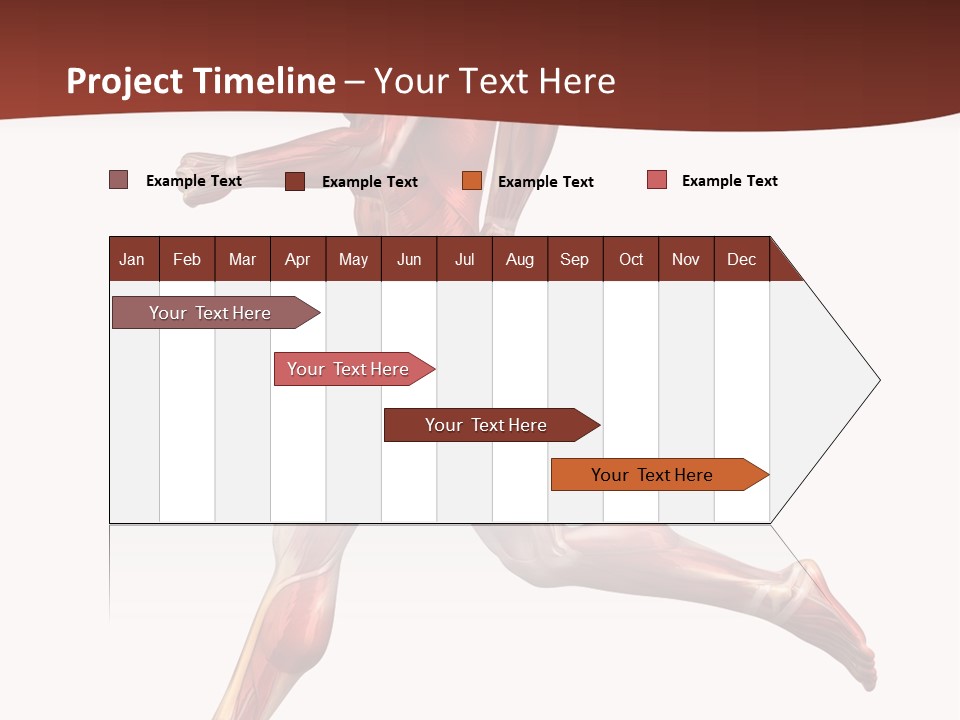 Extensor Carpi Radialis Brevis Calcaneal Achilles Tendon External Oblique PowerPoint Template
