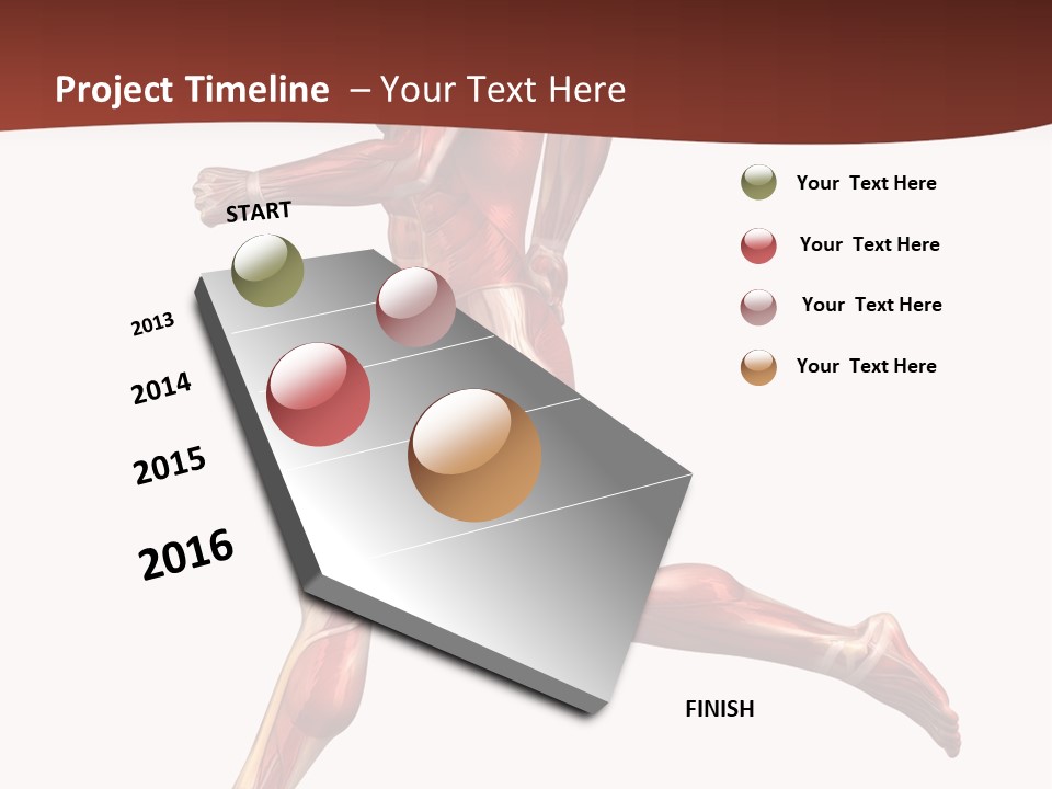 Extensor Carpi Radialis Brevis Calcaneal Achilles Tendon External Oblique PowerPoint Template