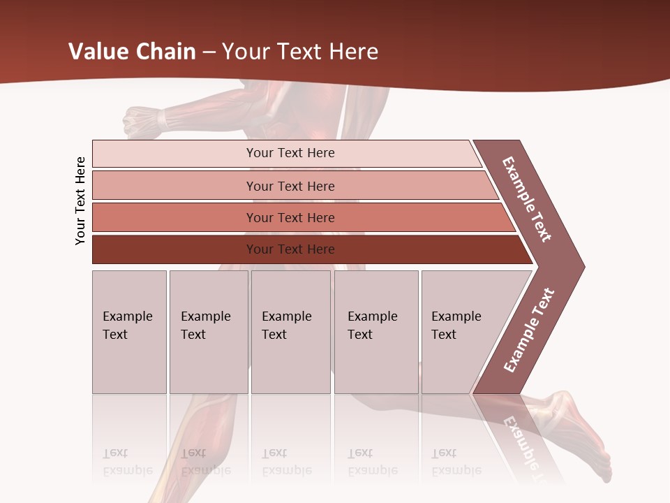 Extensor Carpi Radialis Brevis Calcaneal Achilles Tendon External Oblique PowerPoint Template