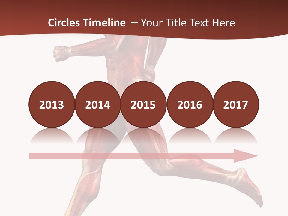 Extensor Carpi Radialis Brevis Calcaneal Achilles Tendon External Oblique PowerPoint Template