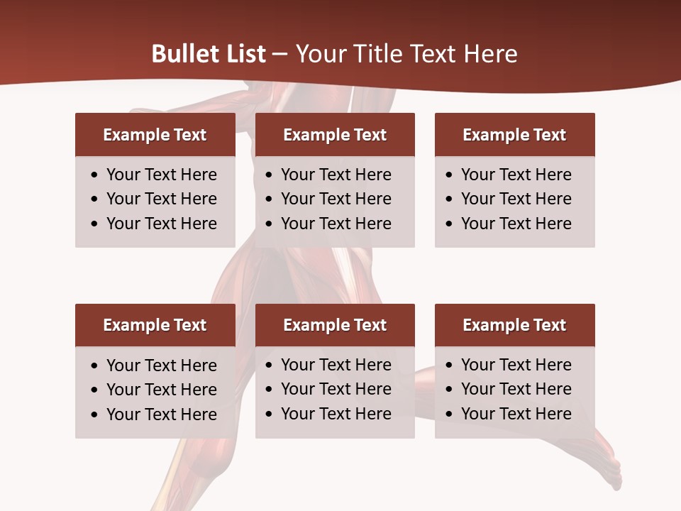 Extensor Carpi Radialis Brevis Calcaneal Achilles Tendon External Oblique PowerPoint Template