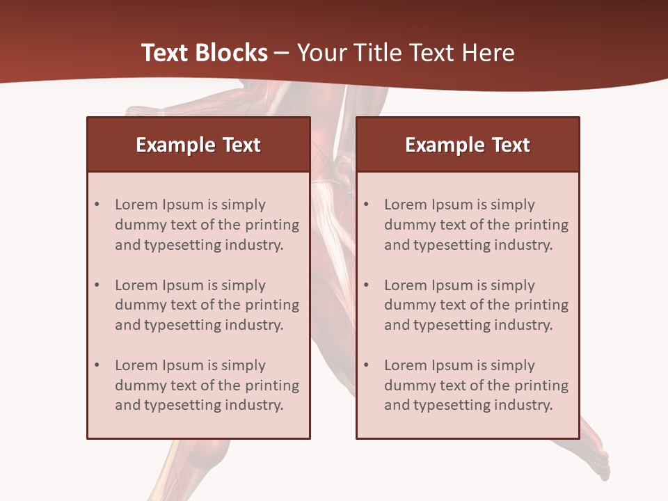 Extensor Carpi Radialis Brevis Calcaneal Achilles Tendon External Oblique PowerPoint Template