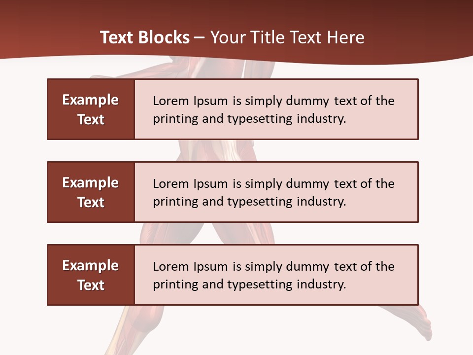 Extensor Carpi Radialis Brevis Calcaneal Achilles Tendon External Oblique PowerPoint Template