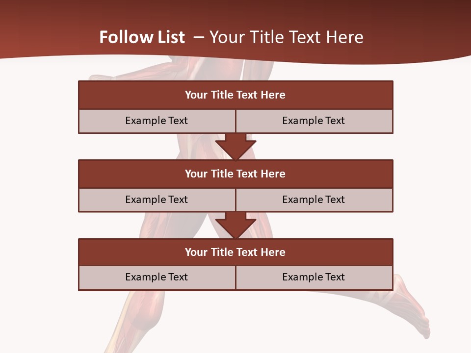 Extensor Carpi Radialis Brevis Calcaneal Achilles Tendon External Oblique PowerPoint Template