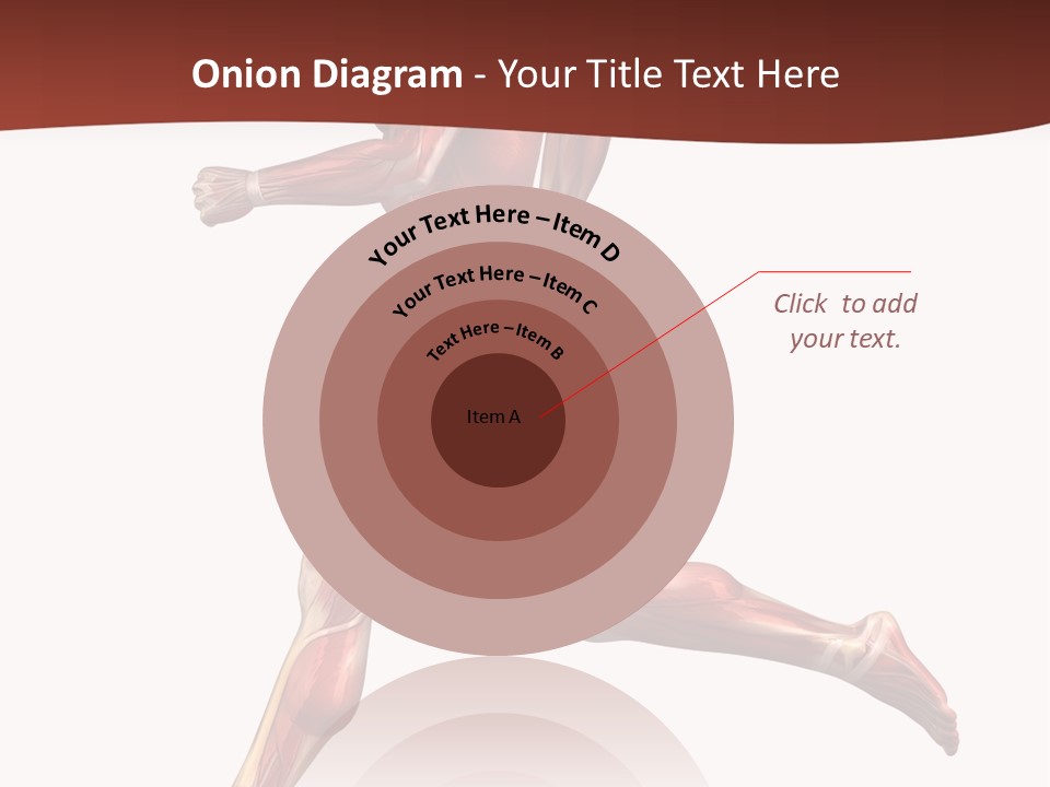 Extensor Carpi Radialis Brevis Calcaneal Achilles Tendon External Oblique PowerPoint Template