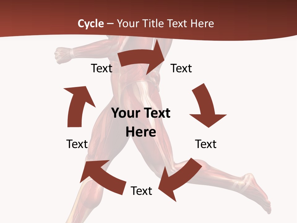 Extensor Carpi Radialis Brevis Calcaneal Achilles Tendon External Oblique PowerPoint Template