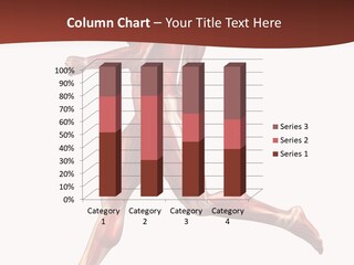 Extensor Carpi Radialis Brevis Calcaneal Achilles Tendon External Oblique PowerPoint Template