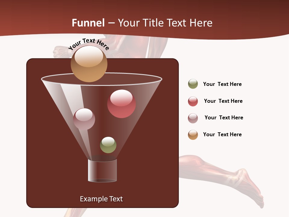 Extensor Carpi Radialis Brevis Calcaneal Achilles Tendon External Oblique PowerPoint Template