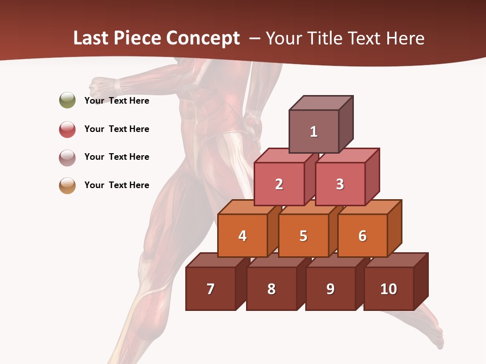 Extensor Carpi Radialis Brevis Calcaneal Achilles Tendon External Oblique PowerPoint Template