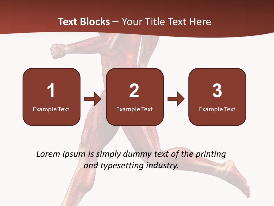 Extensor Carpi Radialis Brevis Calcaneal Achilles Tendon External Oblique PowerPoint Template