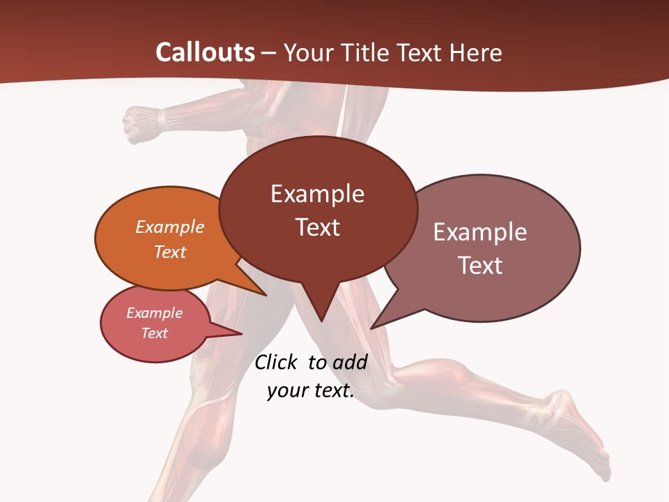 Extensor Carpi Radialis Brevis Calcaneal Achilles Tendon External Oblique PowerPoint Template