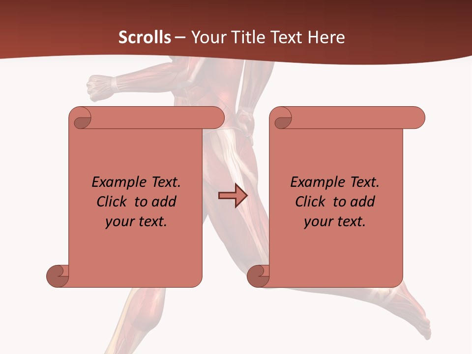 Extensor Carpi Radialis Brevis Calcaneal Achilles Tendon External Oblique PowerPoint Template