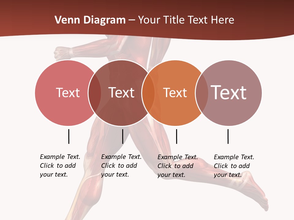 Extensor Carpi Radialis Brevis Calcaneal Achilles Tendon External Oblique PowerPoint Template