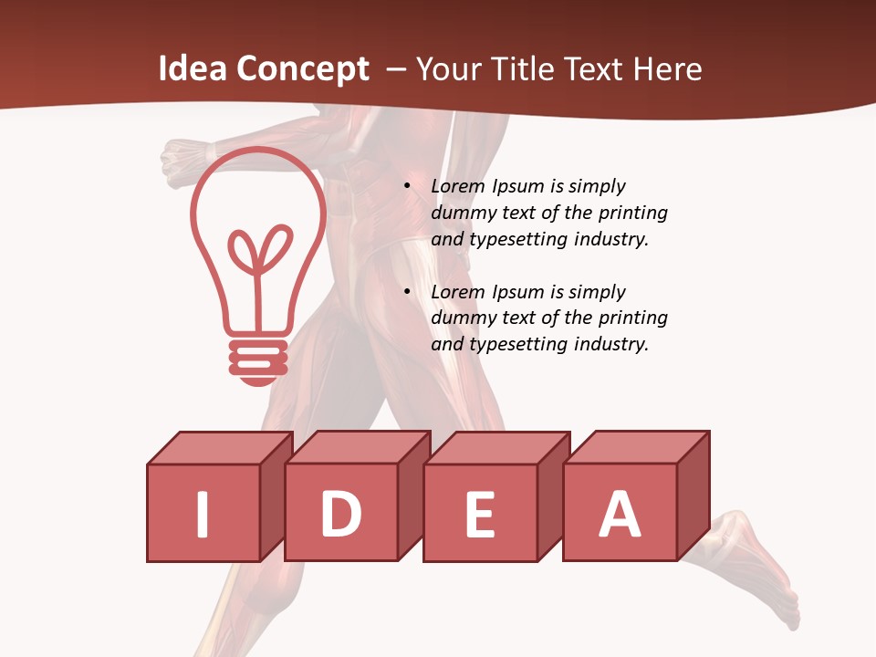 Extensor Carpi Radialis Brevis Calcaneal Achilles Tendon External Oblique PowerPoint Template