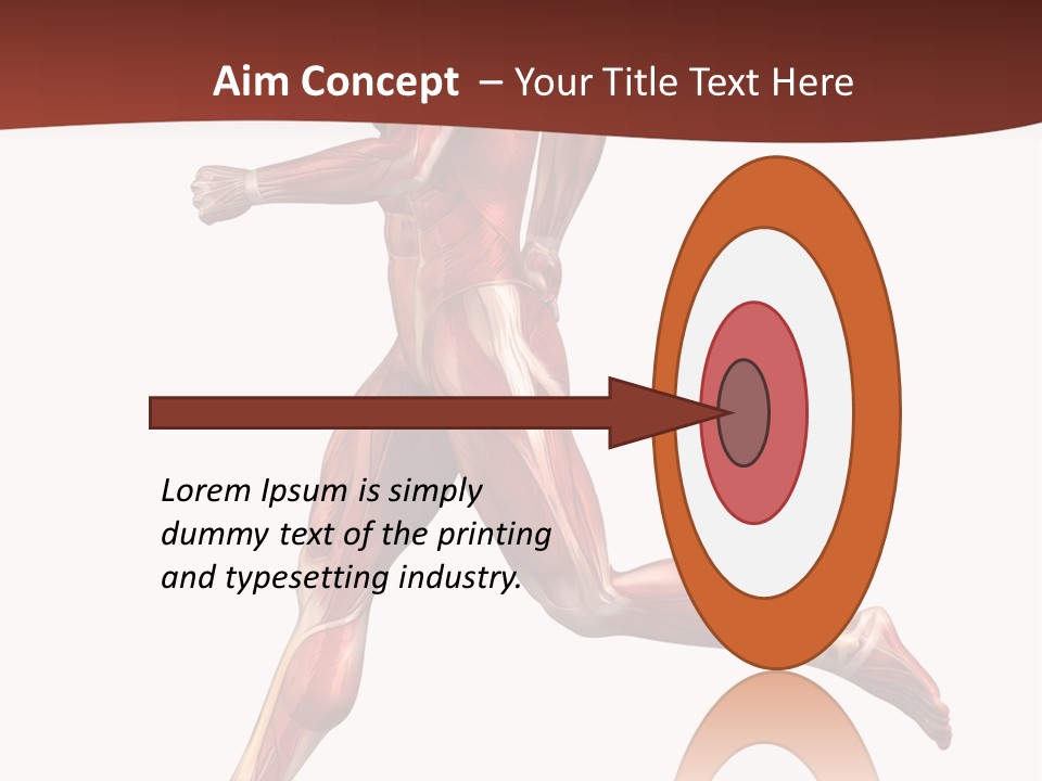 Extensor Carpi Radialis Brevis Calcaneal Achilles Tendon External Oblique PowerPoint Template