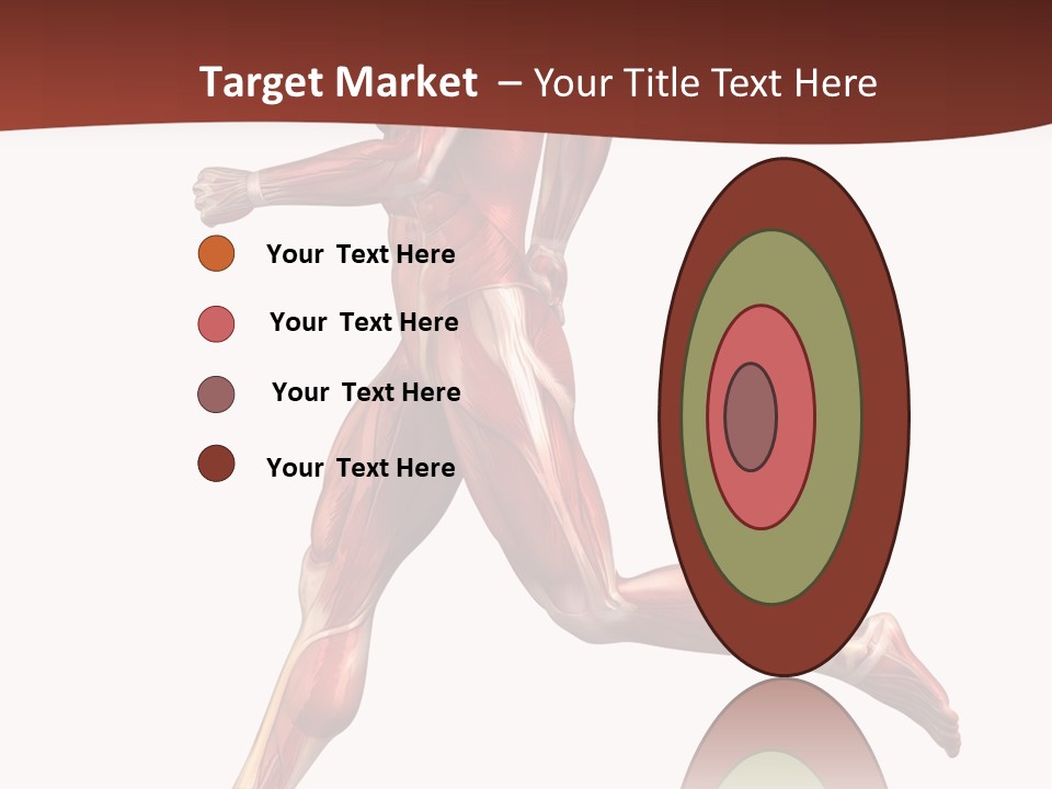 Extensor Carpi Radialis Brevis Calcaneal Achilles Tendon External Oblique PowerPoint Template