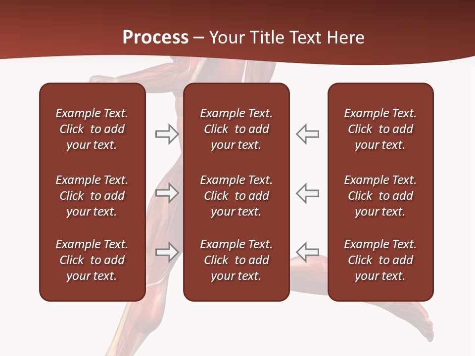Extensor Carpi Radialis Brevis Calcaneal Achilles Tendon External Oblique PowerPoint Template