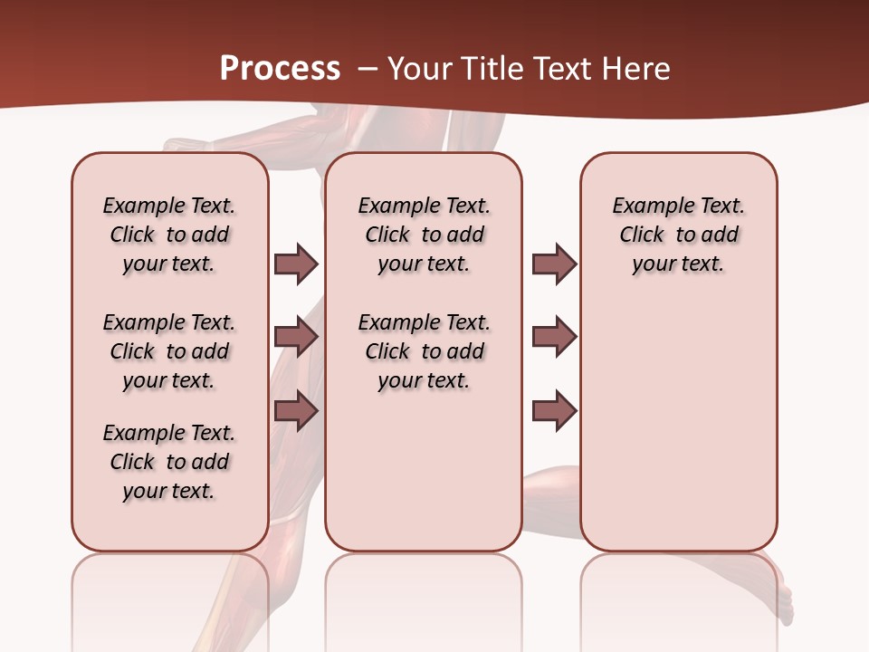 Extensor Carpi Radialis Brevis Calcaneal Achilles Tendon External Oblique PowerPoint Template
