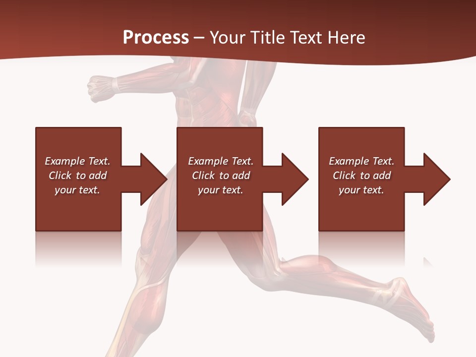 Extensor Carpi Radialis Brevis Calcaneal Achilles Tendon External Oblique PowerPoint Template