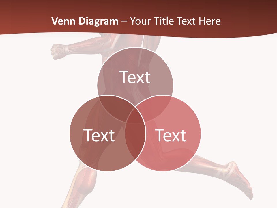 Extensor Carpi Radialis Brevis Calcaneal Achilles Tendon External Oblique PowerPoint Template
