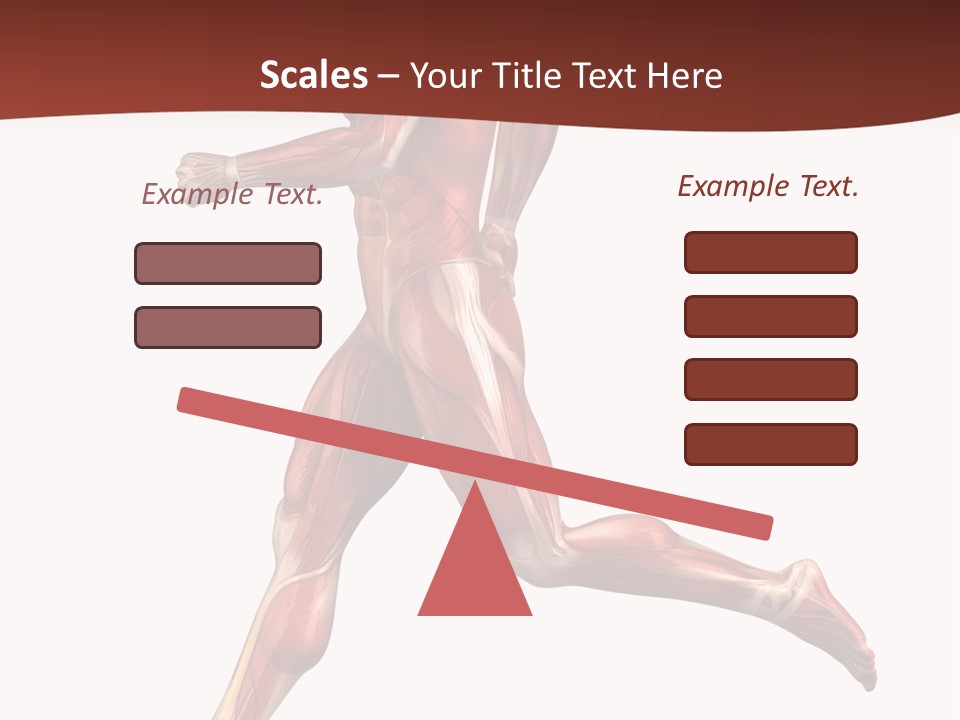 Extensor Carpi Radialis Brevis Calcaneal Achilles Tendon External Oblique PowerPoint Template
