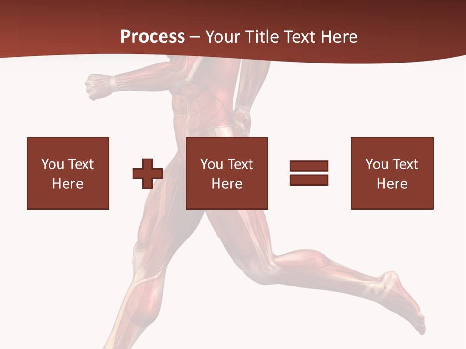 Extensor Carpi Radialis Brevis Calcaneal Achilles Tendon External Oblique PowerPoint Template