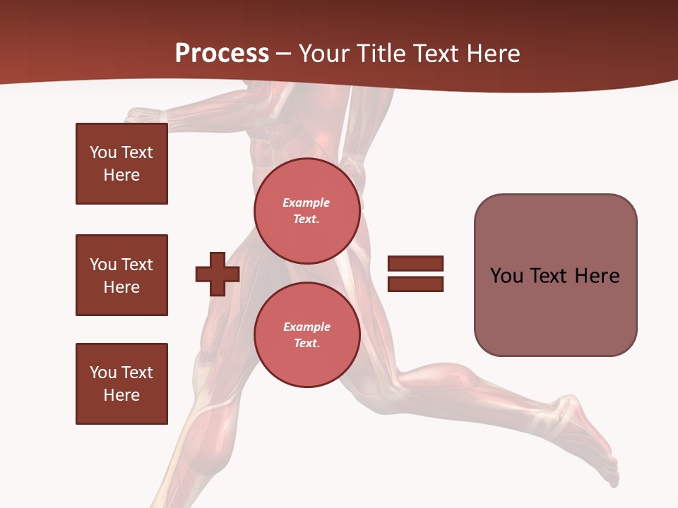 Extensor Carpi Radialis Brevis Calcaneal Achilles Tendon External Oblique PowerPoint Template
