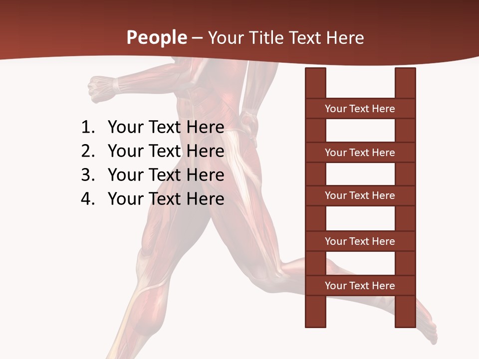 Extensor Carpi Radialis Brevis Calcaneal Achilles Tendon External Oblique PowerPoint Template