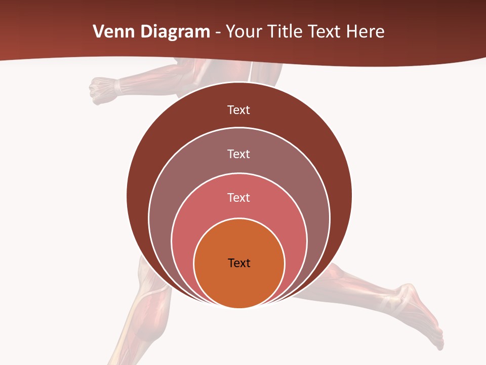 Extensor Carpi Radialis Brevis Calcaneal Achilles Tendon External Oblique PowerPoint Template
