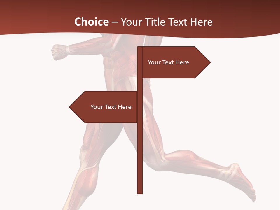 Extensor Carpi Radialis Brevis Calcaneal Achilles Tendon External Oblique PowerPoint Template