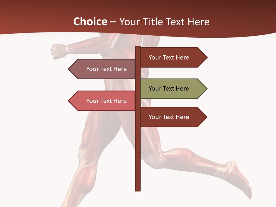Extensor Carpi Radialis Brevis Calcaneal Achilles Tendon External Oblique PowerPoint Template