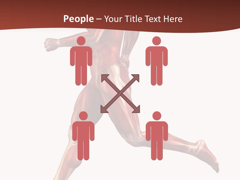 Extensor Carpi Radialis Brevis Calcaneal Achilles Tendon External Oblique PowerPoint Template