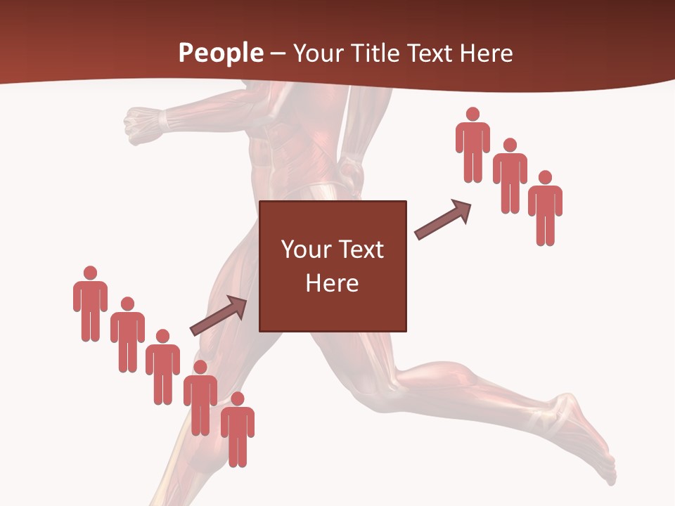 Extensor Carpi Radialis Brevis Calcaneal Achilles Tendon External Oblique PowerPoint Template