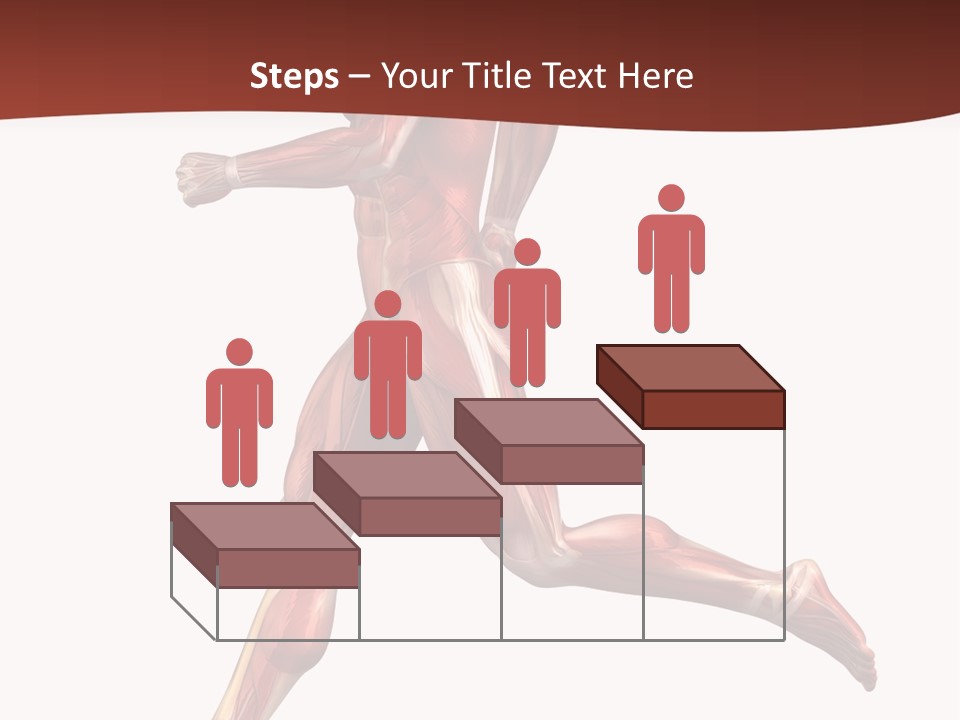Extensor Carpi Radialis Brevis Calcaneal Achilles Tendon External Oblique PowerPoint Template
