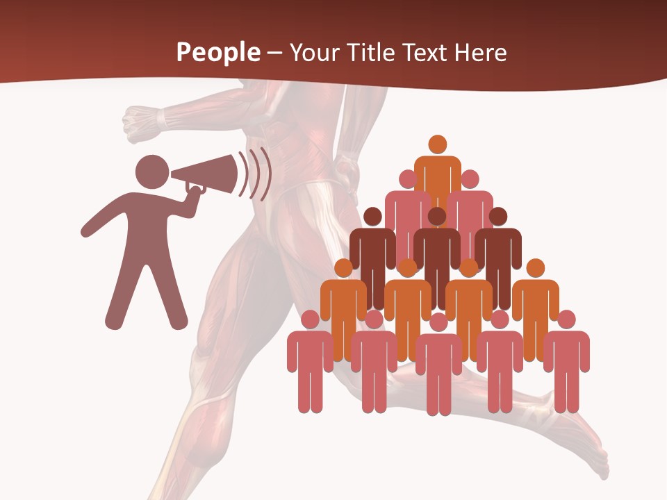 Extensor Carpi Radialis Brevis Calcaneal Achilles Tendon External Oblique PowerPoint Template