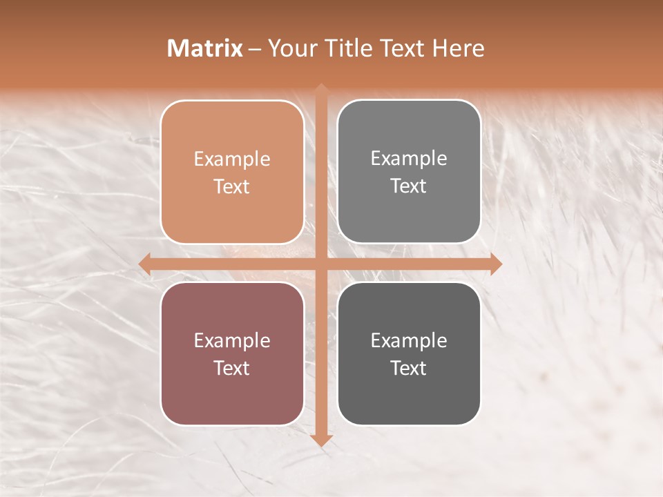 Hair Disease Carrier Brown PowerPoint Template