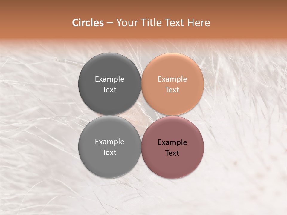 Hair Disease Carrier Brown PowerPoint Template