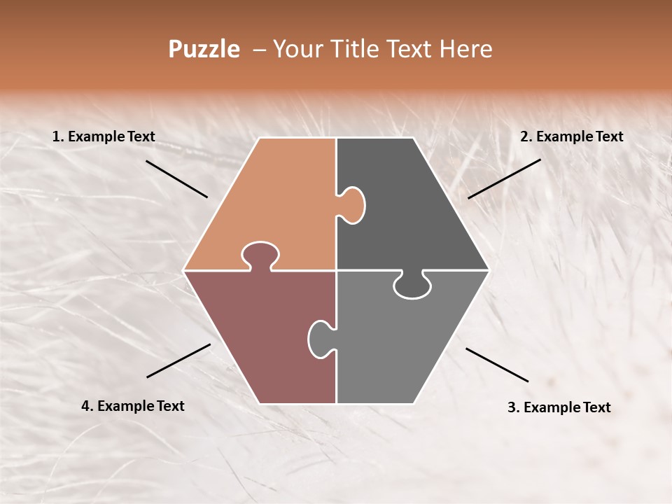 Hair Disease Carrier Brown PowerPoint Template