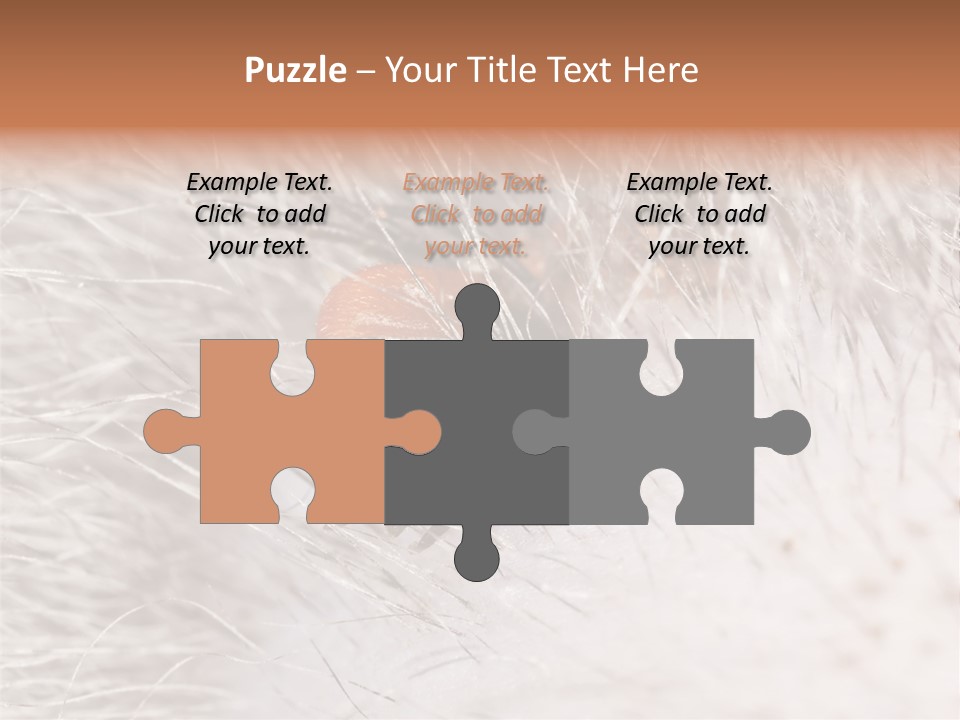 Hair Disease Carrier Brown PowerPoint Template