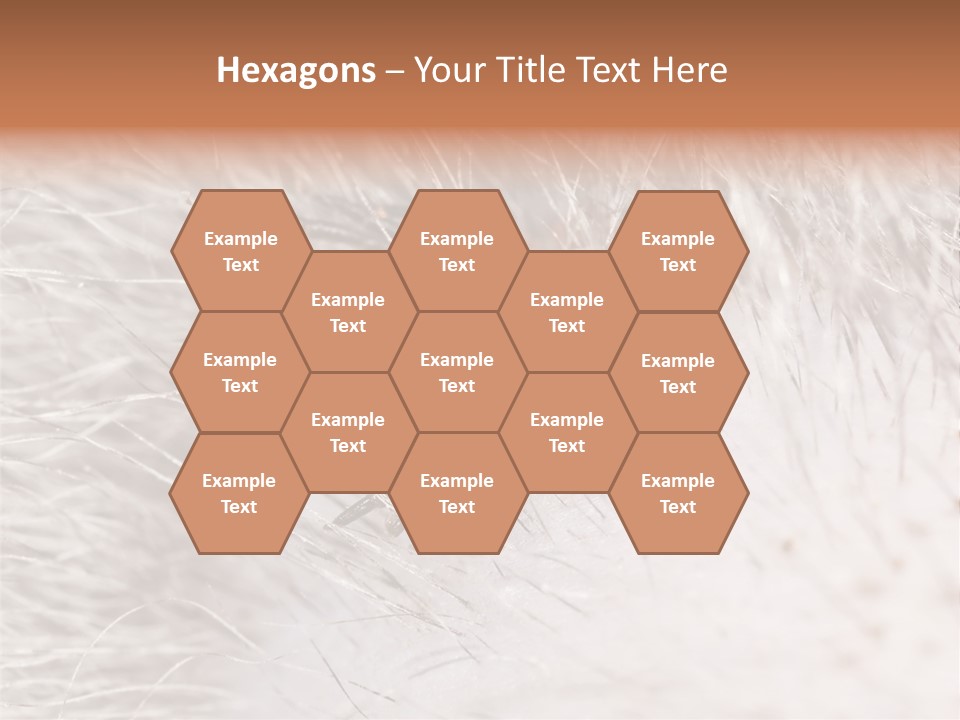 Hair Disease Carrier Brown PowerPoint Template