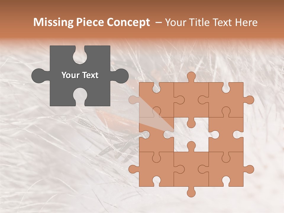 Hair Disease Carrier Brown PowerPoint Template