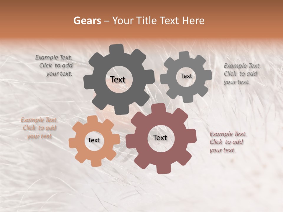 Hair Disease Carrier Brown PowerPoint Template